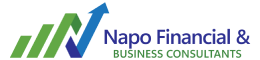 Napo Financial and Business Consultants